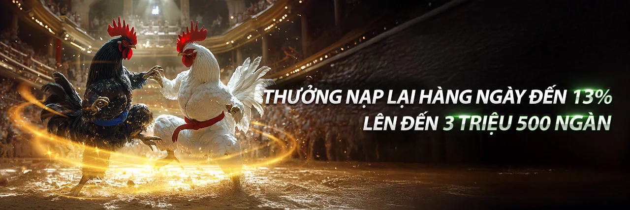 Sân đấu đá gà trực tuyến sôi động tại abc8 đăng nhập